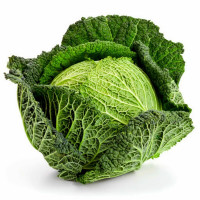 cavolo verza