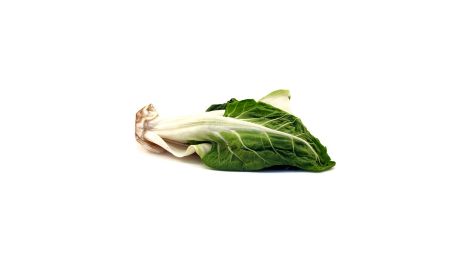 biete coste