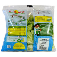 mioorto insalata iceberg