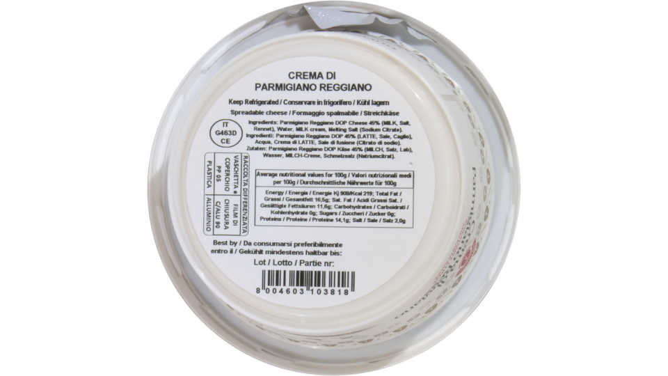 Crema al Parmigiano Reggiano 