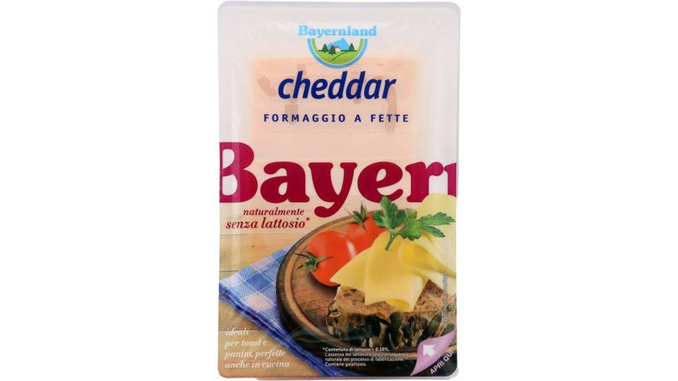 CHEDDAR FETTE S/LATTOSIO