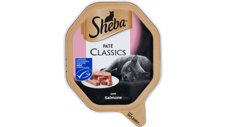 SHEBA SALMONE PATE'CL