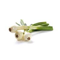 Cipollotti 200 g