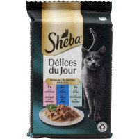 Sheba Délices du Jour Cibo Umido Gatto in Salsa con Salmone e Tacchino 6 x 50 g