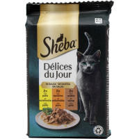 Sheba Délices du Jour Cibo Umido Gatto in Salsa con Tacchino e Anatra 6 x 50 g