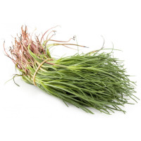 Agretti 300 g