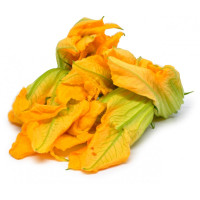 Fiori di Zucchine