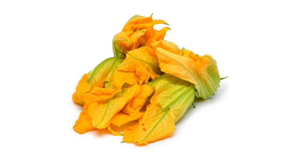 Fiori di Zucchine