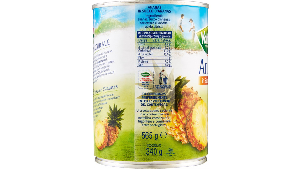 Valfrutta ananas naturale - gr.565