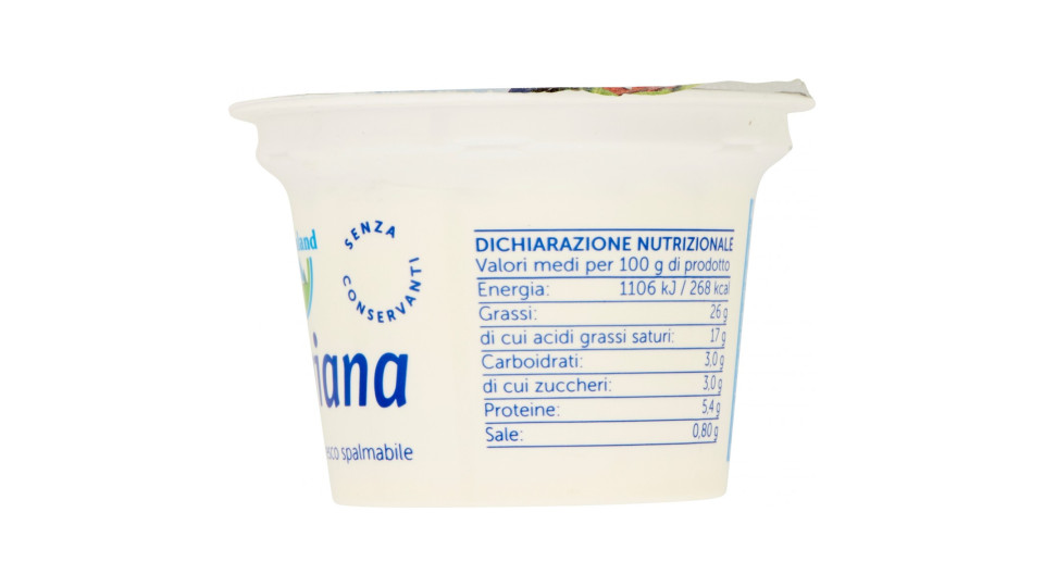 Bayernland alpigiana 100 gr. fromaggio fresco