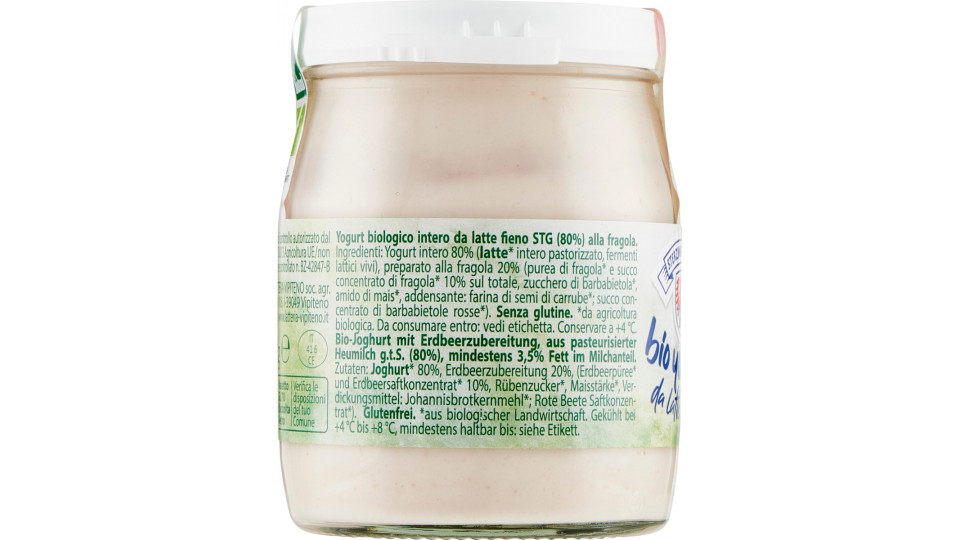 Vipiteno yogurt bio fragola gr.150