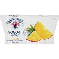 Sterzing Vipiteno Yogurt Ananas 2 x 125 g