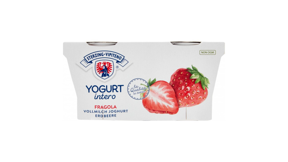 Vipiteno yogurt fragola x 2