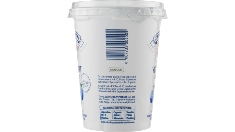 Sterzing Vipiteno Yogurt Mirtillo 2 x 125 gr.