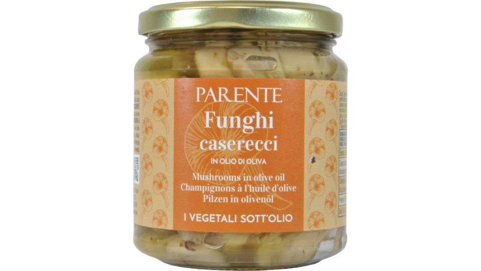 Parente funghi caserecci in olio di oliva gr.280