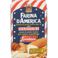 Spadoni farina manitoba d'america - kg.1