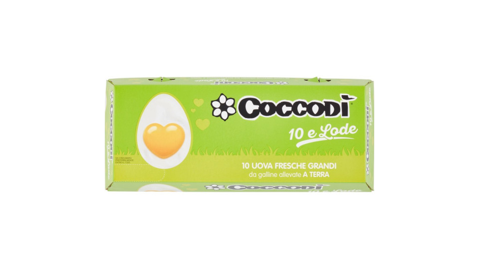 Uova coccodì x10 allevate a terra