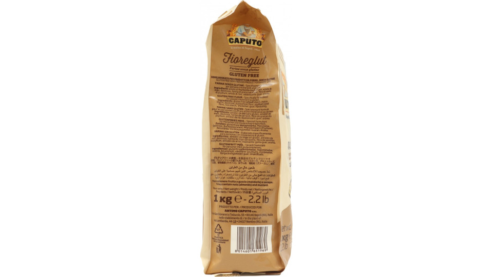 caputo farina fioreglut pizza/pane KG.1