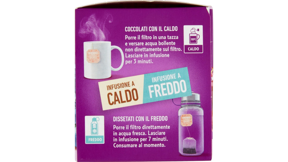 Bonomelli Infusi Fruttosi 100% Naturali Ciliegia e Mirtillo 12...