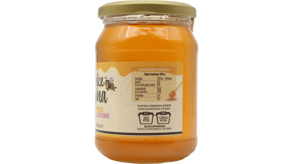 Dolce Regina miele millefiori gr.500