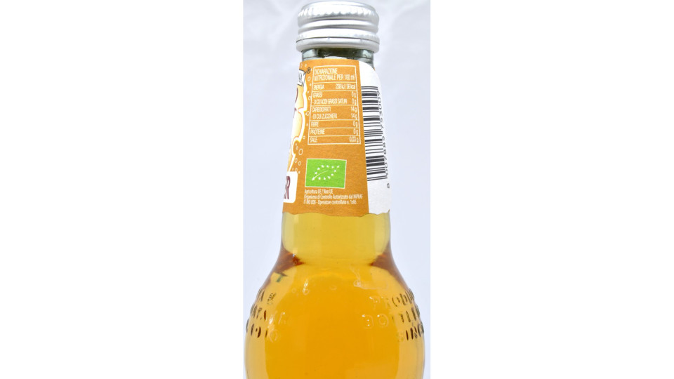 Galvanina ginger bio ml.355 vap