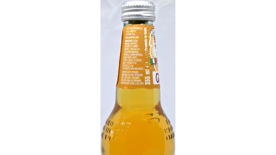 Galvanina ginger bio ml.355 vap