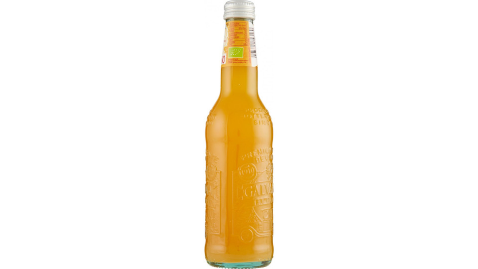 Galvanina Bio Fru.it Mandarino 355 ml.
