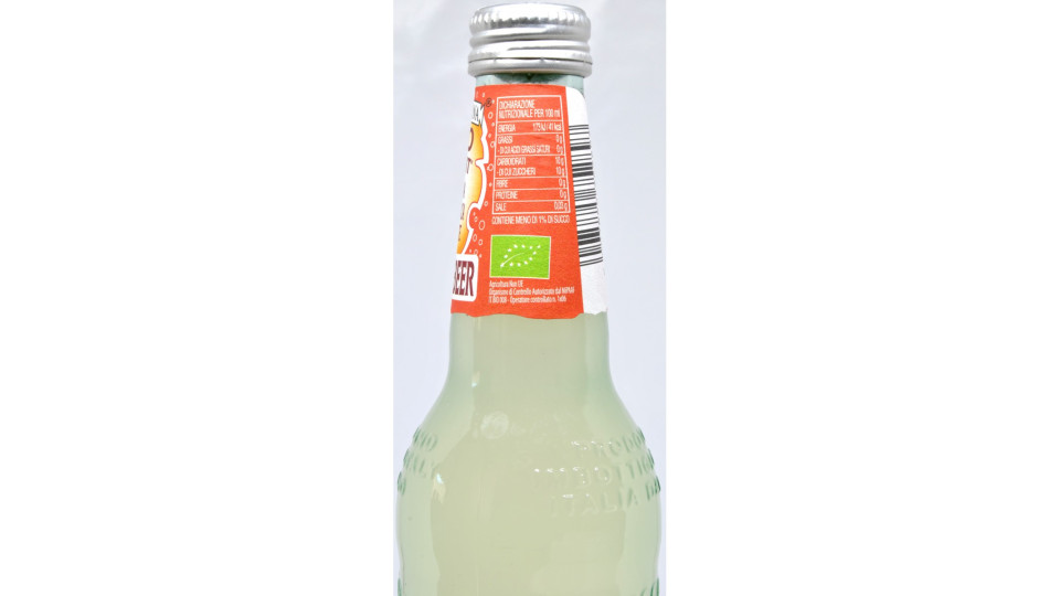 Galvanina ginger beer bio ml.355 vap
