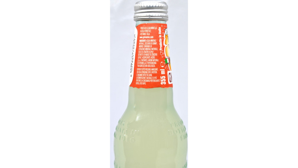 Galvanina ginger beer bio ml.355 vap