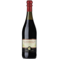 Modavin lambrusco mantovano secco cl.75