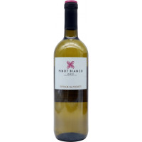 poggio dei vigneti pinot bIANCO igt 75 cl 11*