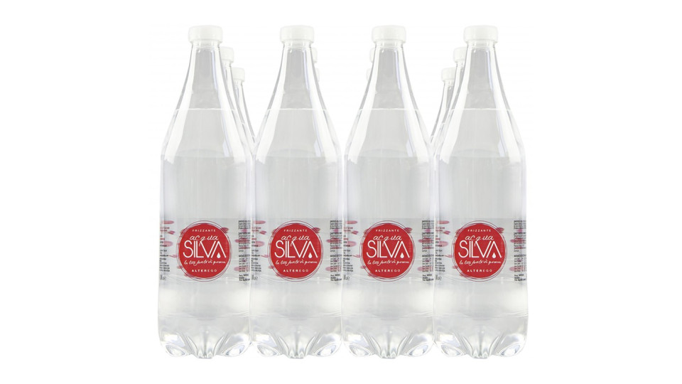Acqua Silva alterego frizzante lt.1 x 12