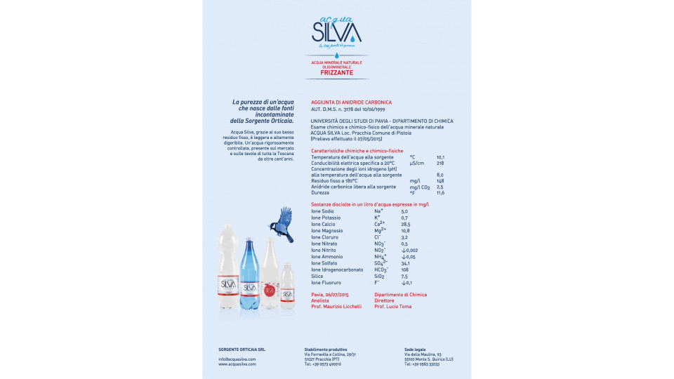 Acqua Silva alterego frizzante lt.1 x 12