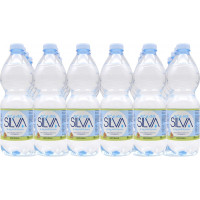 Acqua silva naturale ml.500 x 24