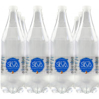 Acqua Silva alterego naturale lt.1 x 12