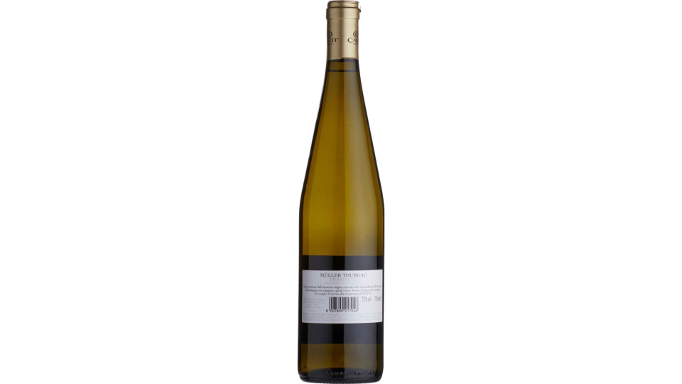 Cavit Mastri Vernacoli Müller Thurgau Trentino DOC 75 cl.