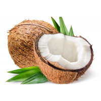 Noce di Cocco