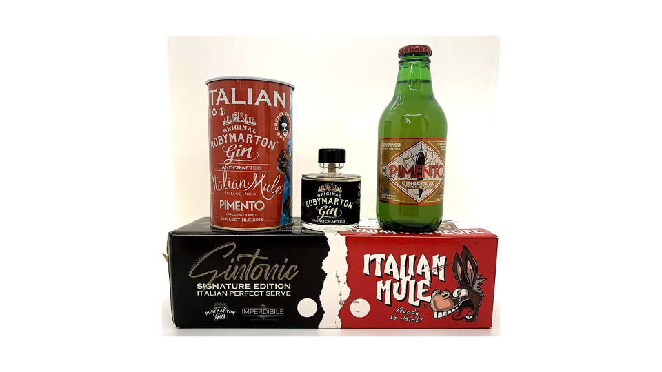 Roby Marton gin tonic delivery pack 47°