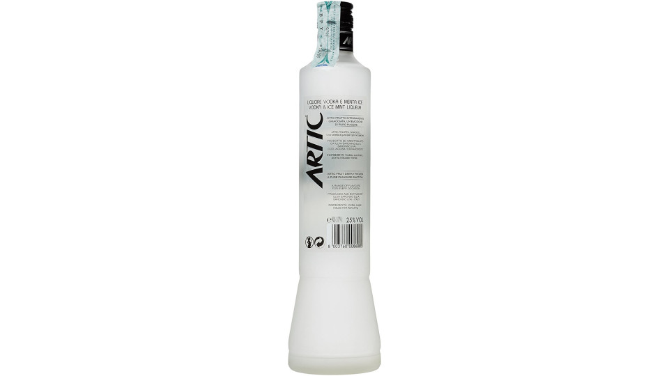 Artic vodka menta ice - lt.1