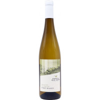 Valle Isarco Pinot bianco cl.75