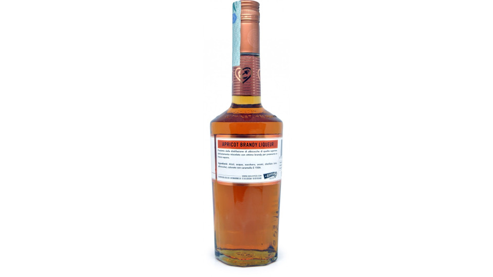 De kuyper brandy apricot cl.70