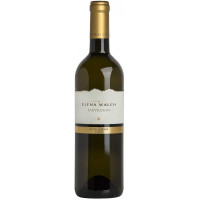 Elena walch sauvignon cl.75 13°