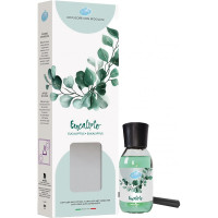 Soft Soft diffusore eucalipto ml.125