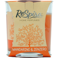 Respira candela profumata al mandarino e zenzero gr.330