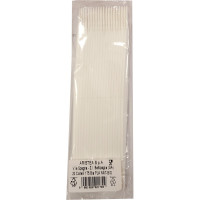 Aristea coltelli bianchi s.pla bio pz.20