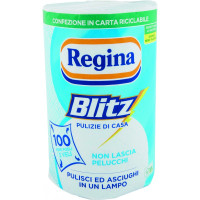 Regina blitz rotolone vetro e superfici lucide