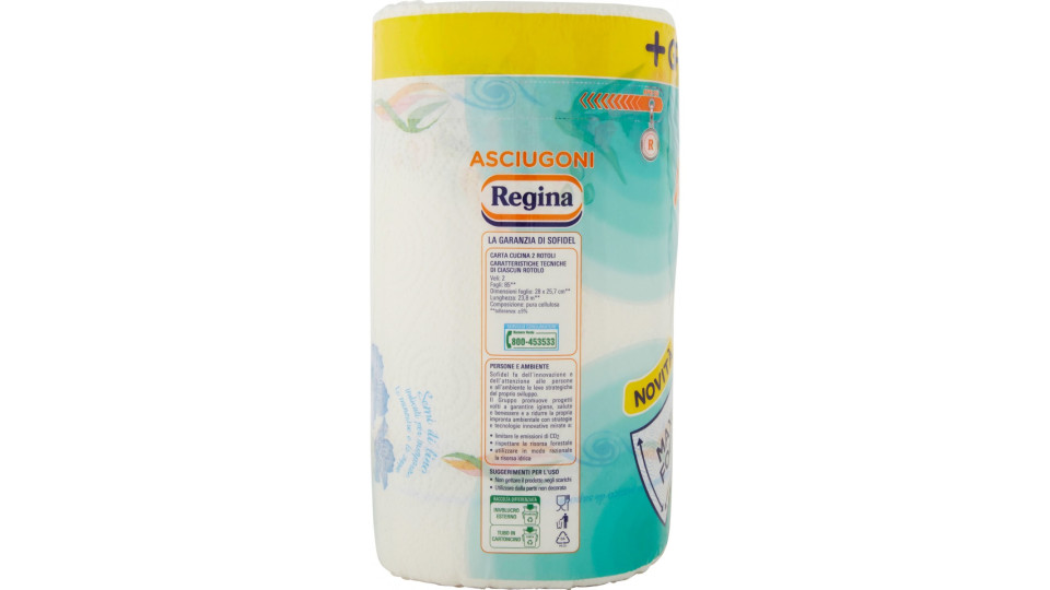 Regina Asciugoni 2 pz.