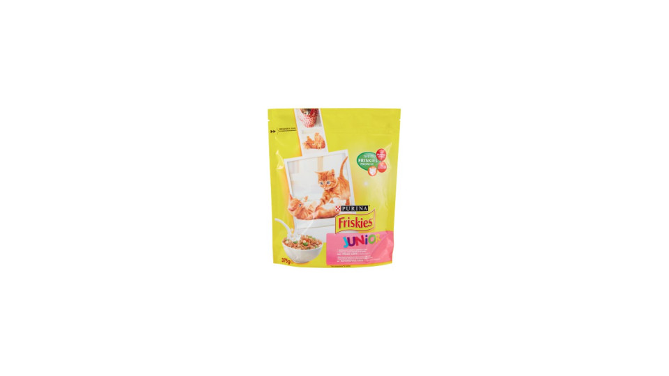 Friskies junior secco - gr.375