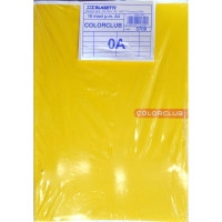 Pacco x10 quaderni a righe 0A colori assortiti