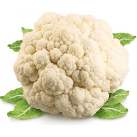 Cavolfiore Bianco